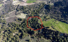 Beautiful agricultural 9365 m2 for sale in Dora