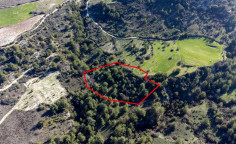 Beautiful agricultural 9365 m2 for sale in Dora