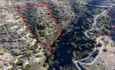 Beautiful agricultural 12041 m2 for sale in Dora