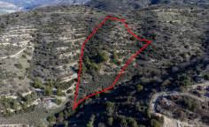 Beautiful agricultural 12041 m2 for sale in Dora