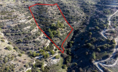 Beautiful agricultural 12041 m2 for sale in Dora