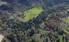 Agricultural 3642 m2 for sale in Dora