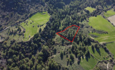 Agricultural 3642 m2 for sale in Dora
