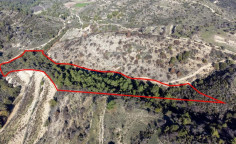Agricultural 19399 m2 for sale in Dora
