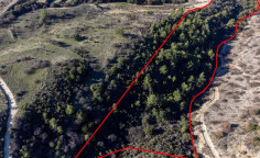 Agricultural 19399 m2 for sale in Dora