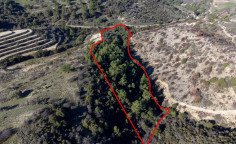 Agricultural 19399 m2 for sale in Dora