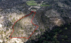 Agricultural 13044 m2 for sale in Dora