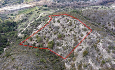 Agricultural 12041 m2 for sale in Dora