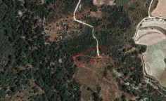 Beautiful agricultural 3679 m2 for sale in Dora