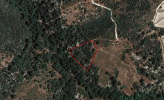 Agricultural 8027 m2 for sale in Dora