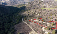 Beautiful agricultural 2676 m2 for sale in Dora Beautiful agricultural 2676 m2 for sale in Dora