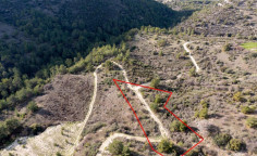 Beautiful agricultural 2676 m2 for sale in Dora