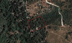 Agricultural 6021 m2 for sale in Dora