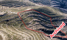 Spacious agricultural 10368 m2 for sale in Pachna