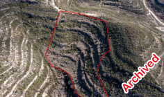 Spacious agricultural 10368 m2 for sale in Pachna
