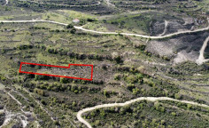 Field in Potamiou, Limassol 