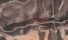 Agricultural 30770 m2 for sale in Kouklia