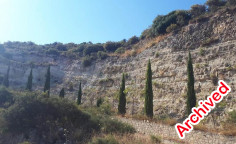 Field in souskiou, Paphos 