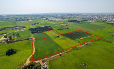 Shared residential field in Frenaros, Famagusta , Famagusta