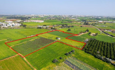 Shared residential field in Frenaros, Famagusta , Famagusta