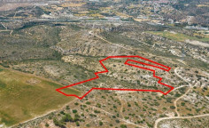 Agricultural 29098 m2 for sale in Nicosia