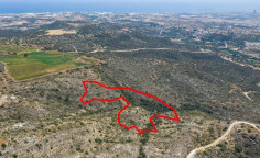 Field in choirokoitia, Larnaca 