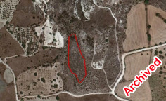 Shared agricultural field in Marathounta, Paphos 