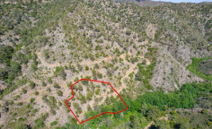 Four fields in sykopetra, Limassol 