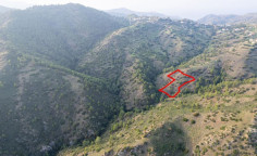 Shared agricultural field in pigenia, Nicosia 