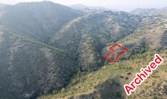 Shared agricultural field in pigenia, Nicosia 