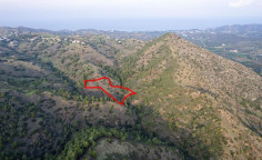 Shared agricultural field in pigenia, Nicosia 