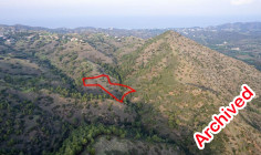 Shared agricultural field in pigenia, Nicosia 