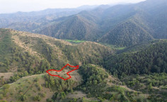 Shared agricultural field in pigenia, Nicosia 