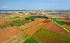Agricultural field in Frenaros, Famagusta 