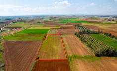 Agricultural field in Frenaros, Famagusta 
