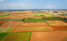 Agricultural field in Frenaros, Famagusta 