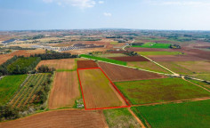Agricultural field in Frenaros, Famagusta 
