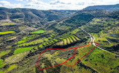 Agricultural 17559 m2 for sale in Dora Agricultural 17559 m2 for sale in Dora