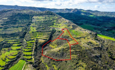 Agricultural 17559 m2 for sale in Dora