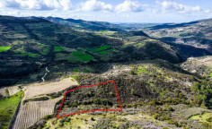 Agricultural 7358 m2 for sale in Dora Agricultural 7358 m2 for sale in Dora