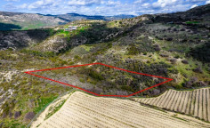 Agricultural 7358 m2 for sale in Dora