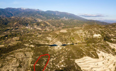 Agricultural field in Omodos, Limassol 