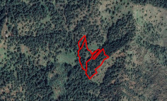 Agricultural 14259 m2 for sale in Nicosia