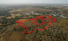 Agricultural 47070 m2 for sale in Paralimni