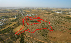 Agricultural 47070 m2 for sale in Paralimni