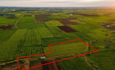 Agricultural field in Avgorou, Famagusta 