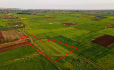 Agricultural field in Avgorou, Famagusta 