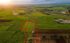 Agricultural field in Avgorou, Famagusta 