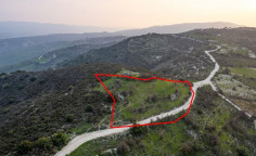 Shared agricultural field in Salamiou, Paphos 