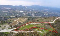 Shared agricultural field in Salamiou, Paphos 